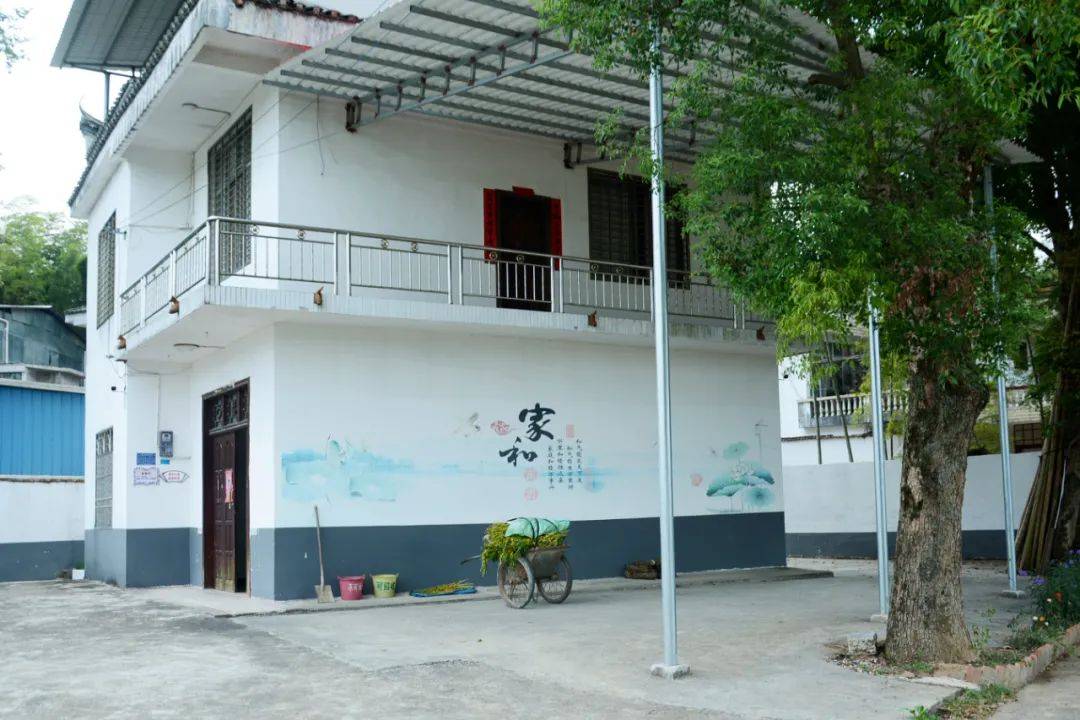 多地回应闲置校舍再利用：吉安1400所农村闲置小学盘活超四成