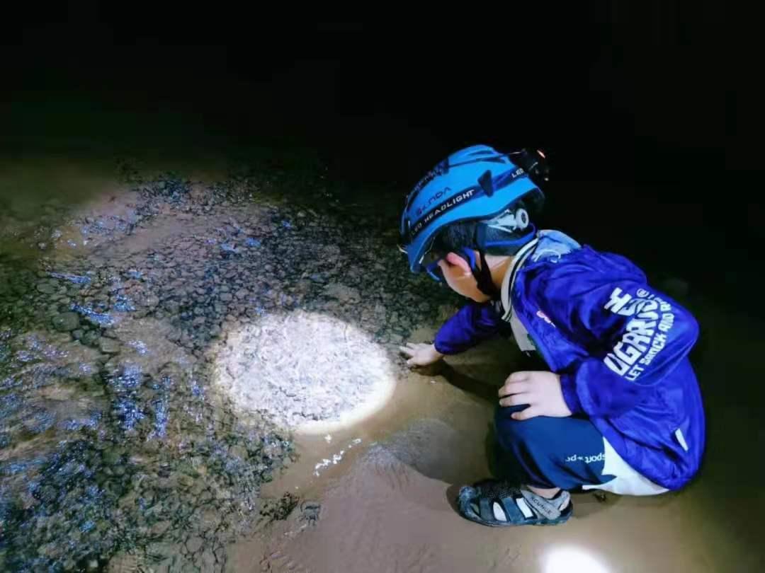 影子调查｜天然溶洞何以变成垃圾洞？！