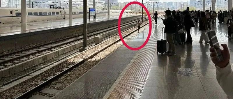 旅客突然跳入股道致列车晚点，铁路杭州站通报