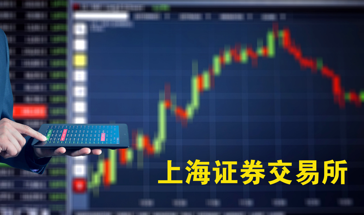 上交所召开落实科创板“1+6”政策股权投资机构座谈会