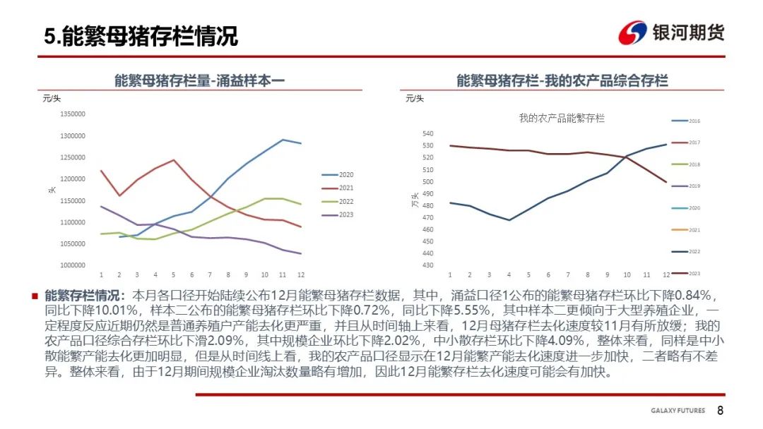 上半年期现价格阶段性背离 下半年生猪价格怎么走？