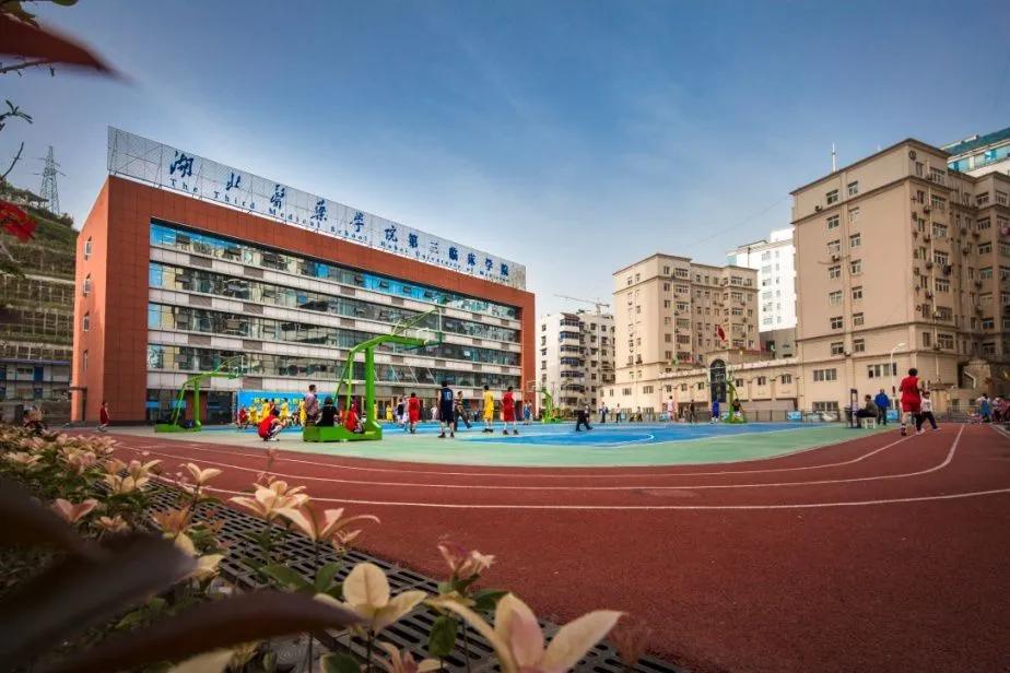 新加坡将研究在公共医疗中更多使用中医疗法